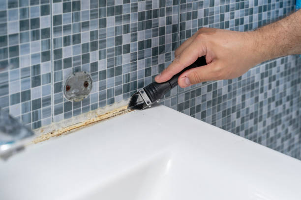 Best Emergency Mold Removal  in Christiana, TN