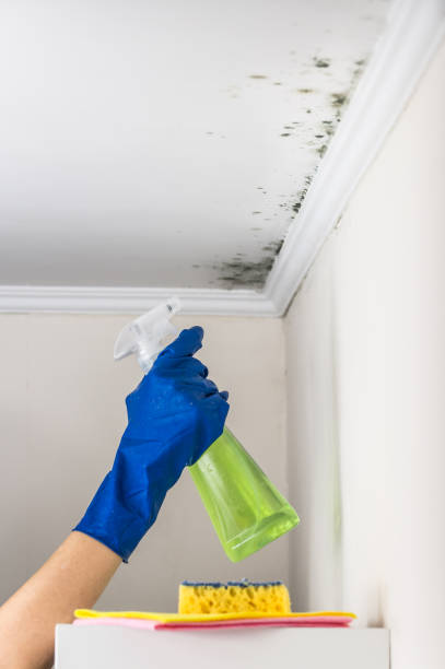 Best Toxic Mold Removal  in Christiana, TN